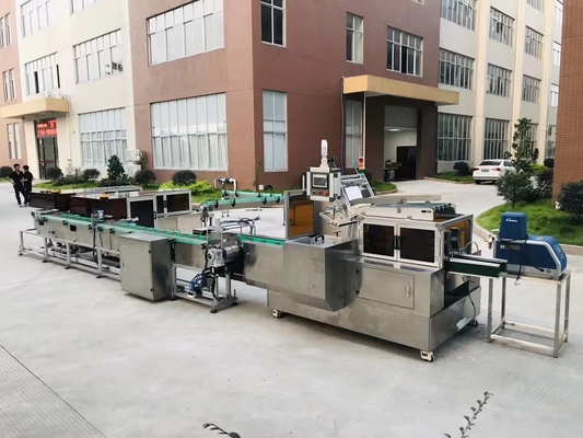 Otomatik Kutu Karton Paketleme Makinesi Aperatif Yiyecek Küçük Elektrik Endüstrileri