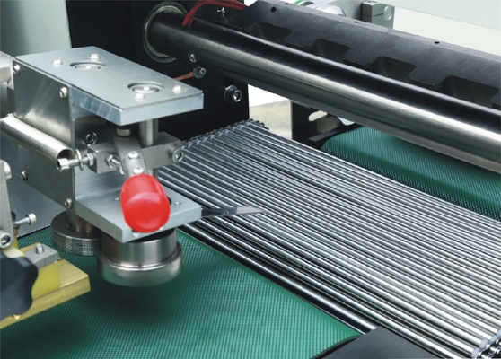 PLC Yatay Form Dolum Paketleme Makinesi Conta Taşıma Servo Motorlar